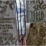 精神病患者が刻み込んだ言葉