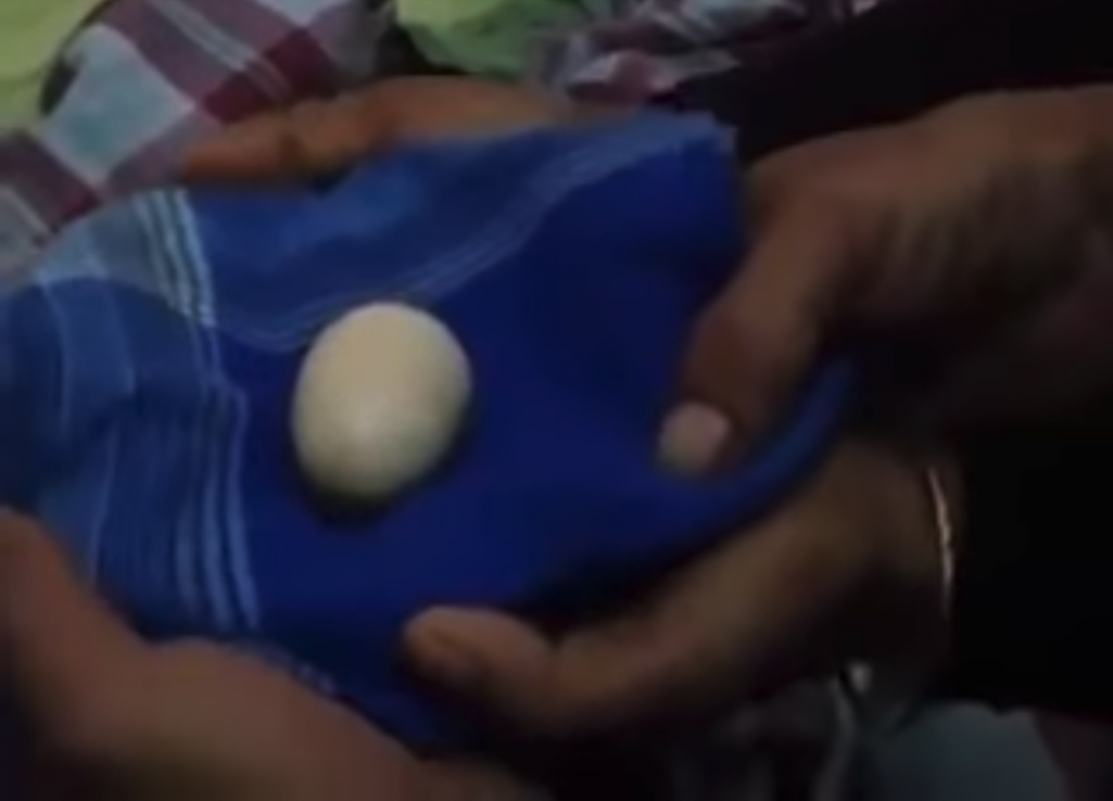 卵を産むインドネシアの少年