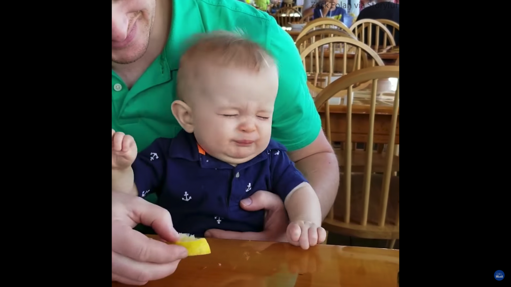 生まれて初めて 食べてみたシリーズ 赤ちゃんたちの初体験動画まとめ