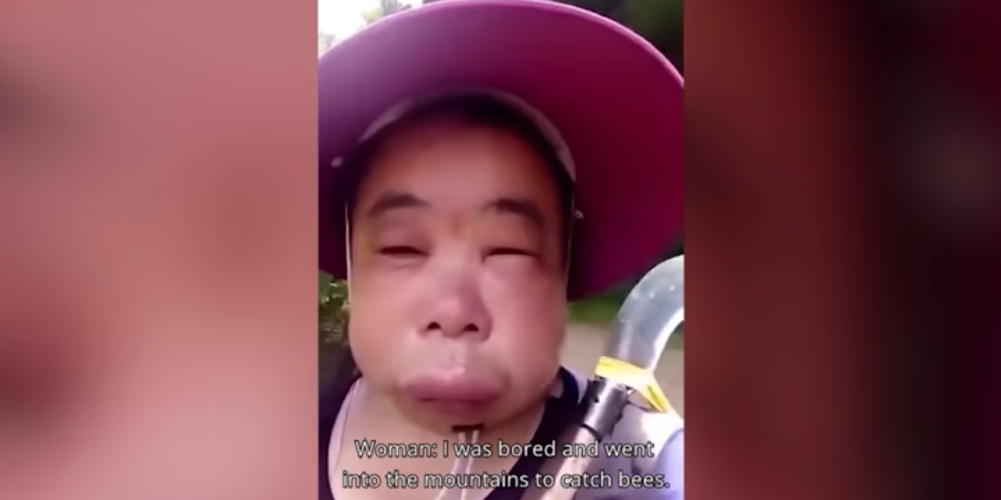 中国のハチミツ泥棒顔パンパン