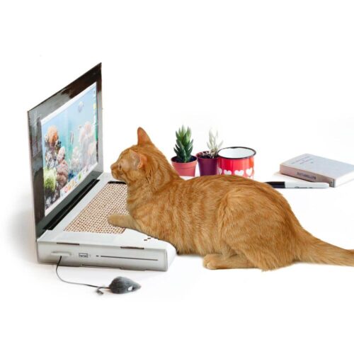 猫の爪とぎ専用ノートパソコン