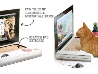 猫の爪とぎ専用ノートパソコン