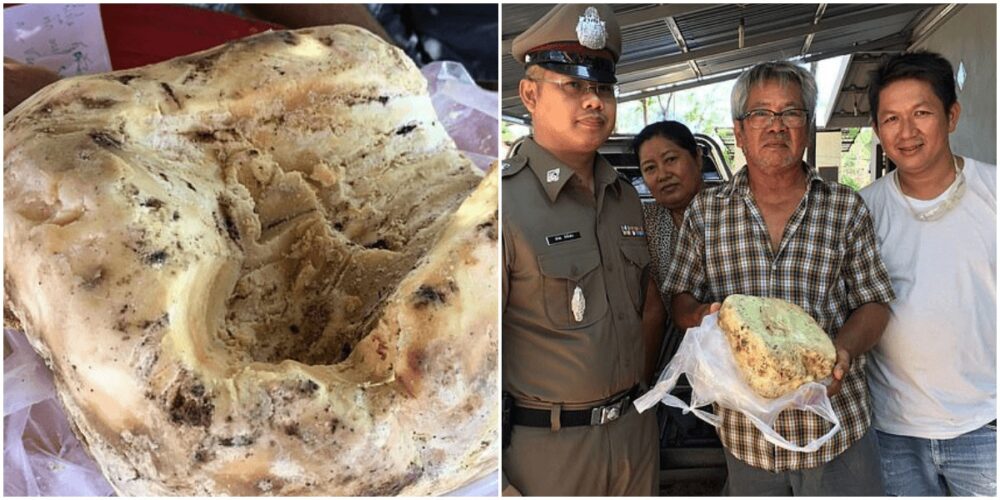 クジラのゲロで一攫千金チャンス!300万円相当の宝が海に浮いてる!?