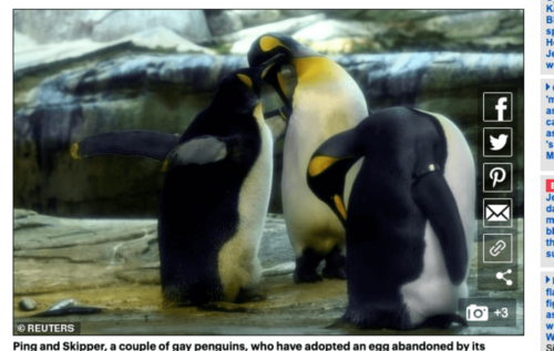 同性愛のペンギンカップル父になる