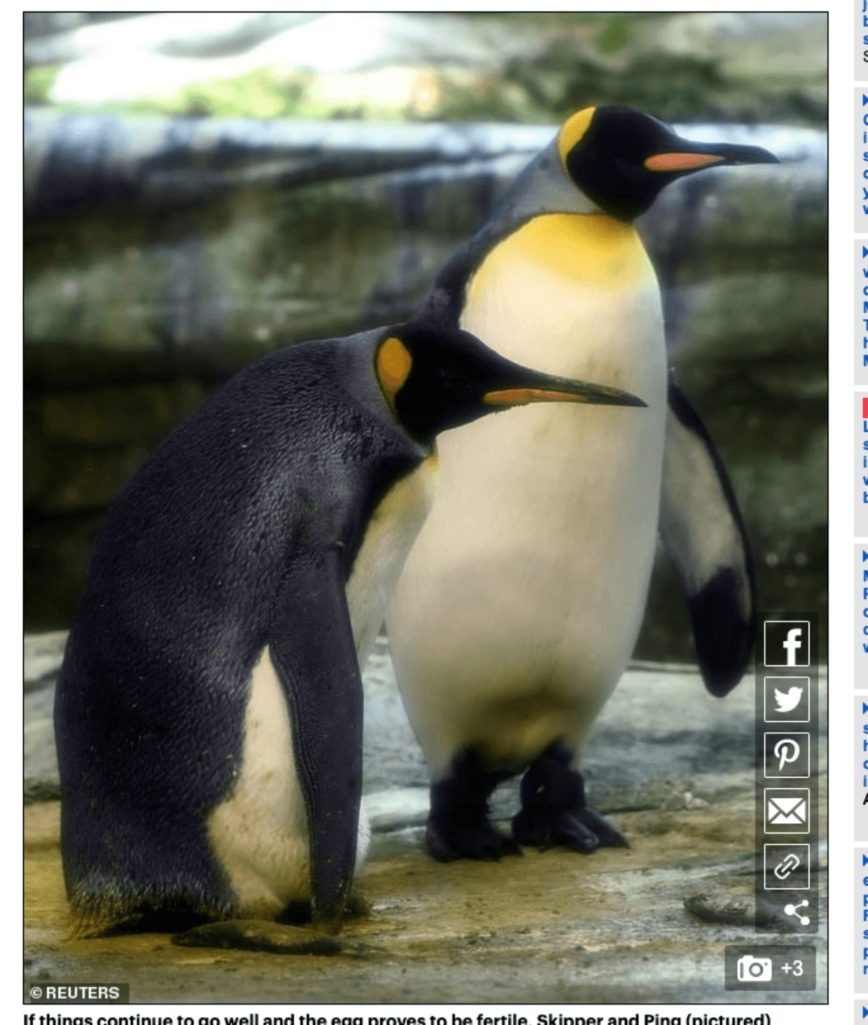同性愛のペンギンカップル父になる