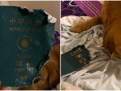 飼い主を新型肺炎から守った愛犬の奇跡