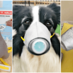 新型肺炎で犬用マスクの需要が急増