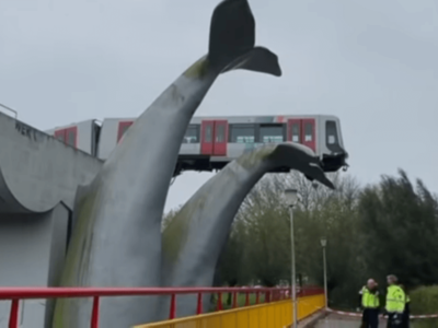 クジラのしっぽが電車事故を救う