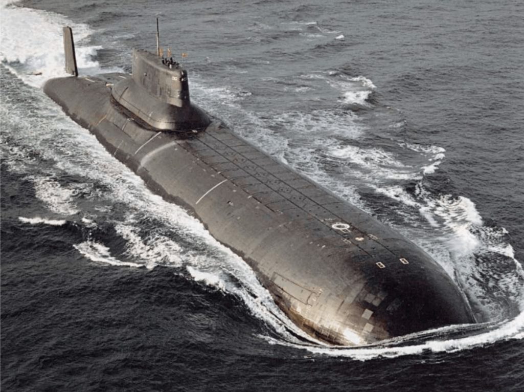 原子力潜水艦の上に熊の親子が出没