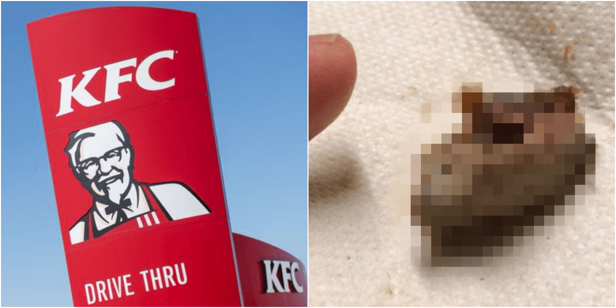 閲覧注意 Kfcフライドチキン ニワトリの脳ミソ 混入事件発生