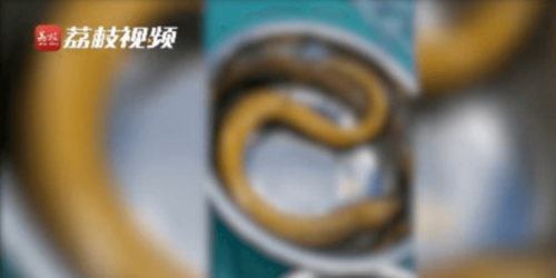 ウナギで便秘を治す中国の民間療法
