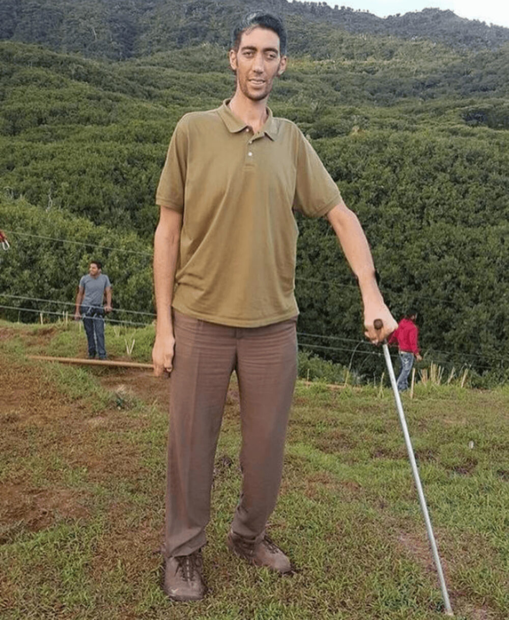 世界一身長の高い男が離婚