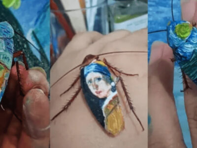 閲覧注意ゴキブリの死骸アート