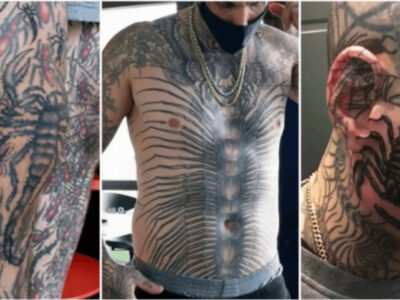 世界一昆虫のTattoo入れた男