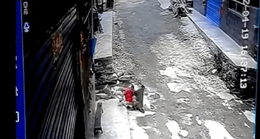3歳の少女誘拐事件の犯人は野生の猿