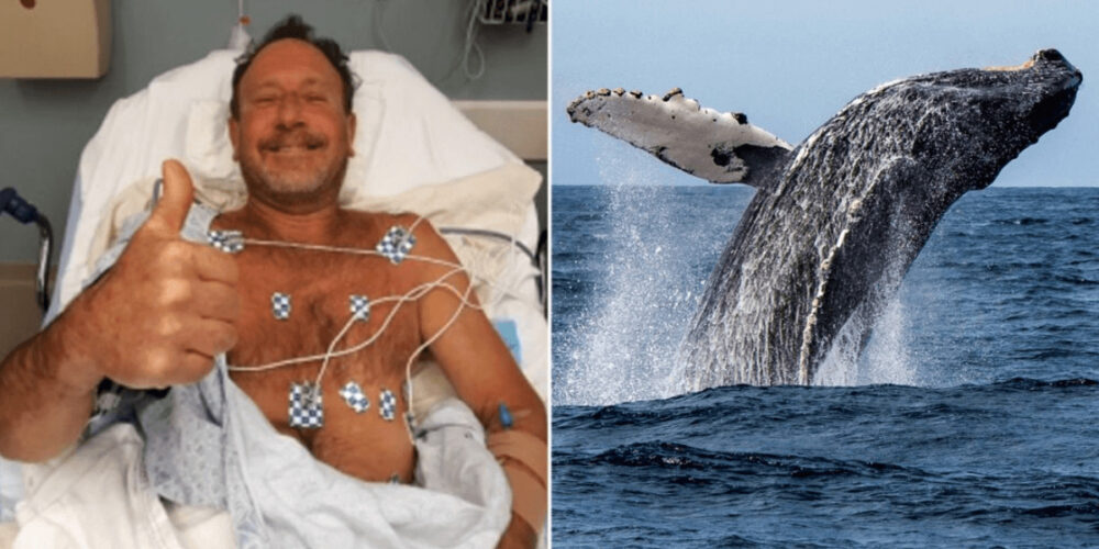 【実話】クジラに飲み込まれた男の体験談