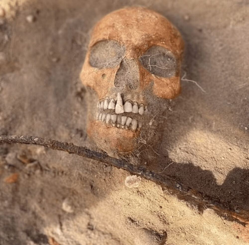 17世紀の吸血鬼の遺体を発見