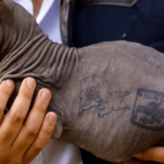 刑務所のギャングにタトゥーを入れられた猫を保護