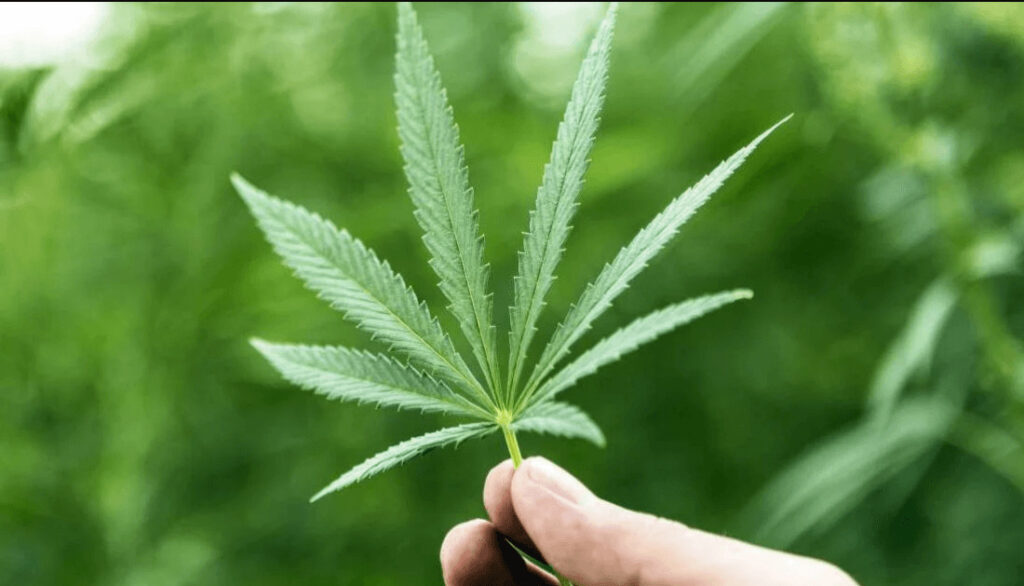 タイ旅行では大麻入りトムヤムクンに注意