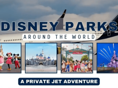世界中のディズニーをプライベートジェットで巡るツアー