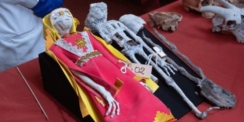 鑑定の結果宇宙人のミイラは動物の骨と接着剤で作った人形だった