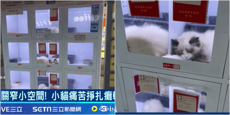 中国のペット自動販売機に批判殺到で炎上
