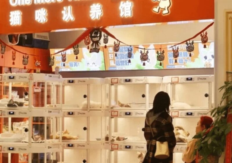 【中国の闇】無料「ペット自動販売機」の落とし穴